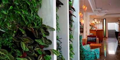 Familienhotel - Ascoli Piceno - Die grüne Wand in der Lobby vom Doge Hotel Alba Adriatica - Hotel Doge