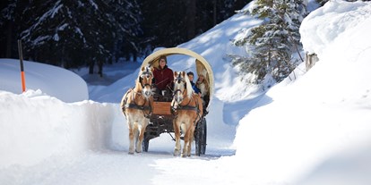 Familienhotel - Ausritte mit Pferden - Tirol - Kutschenfahrt Winter - Familienparadies Sporthotel Achensee****