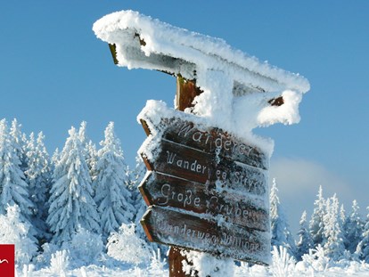 Familienhotel - Skikurs direkt beim Hotel - Schmallenberg - Willingen im Winter - Göbel's Landhotel