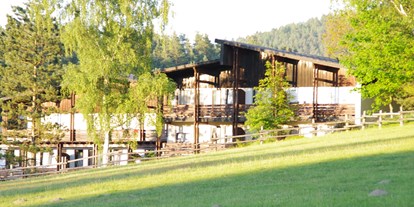 Familienhotel - barrierefrei - Warmensteinach - Außenansicht von Pferdekoppel - Waldhotel Bächlein