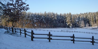 Familienhotel - Hunde: hundefreundlich - Blick Richtung Koppeln im Winter (bei Schnee) - Waldhotel Bächlein