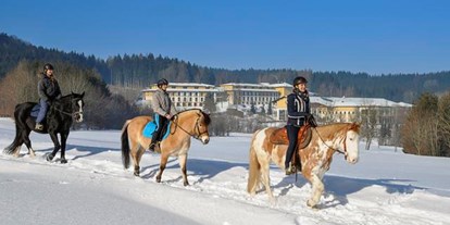 Familienhotel - Ponyreiten - Oberösterreich - Ausreiten im Winter im Hausruckwald - Aldiana Club Ampflwang