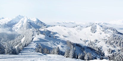 Familienhotel - Klassifizierung: 4 Sterne S - Skigebiet - Alpines Lifestyle Hotel Tannenhof