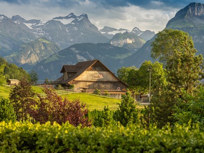 Familienhotel - Kletterwand - Erlebnishof Fronalp - Swiss Holiday Park