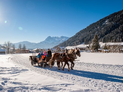 Familienhotel - Kletterwand - Österreich - Pferdeschlitten - Gut Wenghof - Family Resort