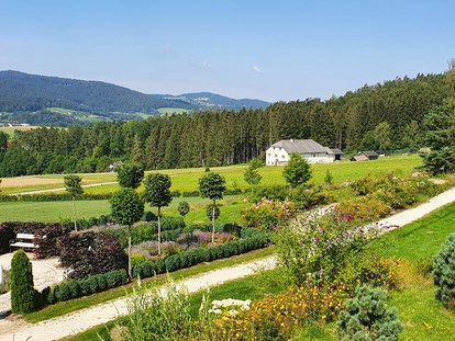 Familienhotel - Umgebungsschwerpunkt: Berg - Österreich - AIGO welcome family