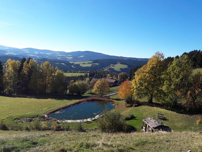 Familienhotel - Ponyreiten - Steiermark - Aussicht vom Familienhotel Berger mit Teich - Familienhotel Berger ***superior