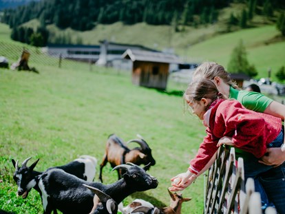 Familienhotel - Hunde verboten - Österreich - Streichelzoo - Familotel Zauchenseehof