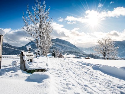 Familienhotel - Umgebungsschwerpunkt: See - Salzburg - Winterparadies Flachau - Sonnberg Ferienanlage