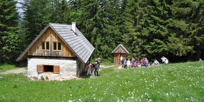 Familienhotel - Sauna - Oberösterreich - Almhütte am Waldrand - Ferienhotel Gut Enghagen