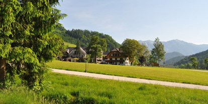 Familienhotel - bewirtschafteter Bauernhof - Donnersbachwald - Das Ferienhotel ist von Wiesen umgeben. - Ferienhotel Gut Enghagen