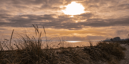 Familienhotel - Umgebungsschwerpunkt: Meer - Sonnenaufgang am Hundestrand - Wikingerresort Dampland