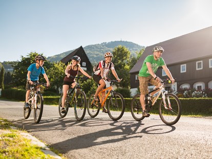 Familienhotel - Kletterwand - Fahrradtour - mit Fahrrädern, die direkt vor Ort im Aktivpunkt gemietet werden können - Trixi Ferienpark Zittauer Gebirge