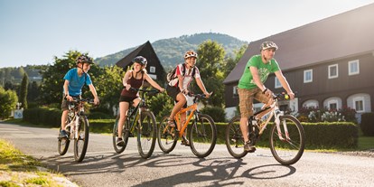Familienhotel - Garten - Sachsen - Fahrradtour - mit Fahrrädern, die direkt vor Ort im Aktivpunkt gemietet werden können - Trixi Ferienpark Zittauer Gebirge