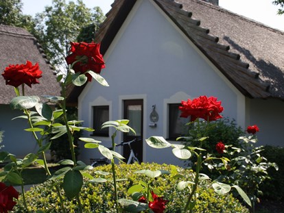 Familienhotel - Garten - Burgenland - Bungalow B1 - VILA VITA Pannonia