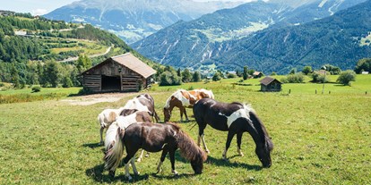 Familienhotel - Hallenbad - Tiroler Oberland - unsere Pony's auf der Koppel - Furgli Hotels