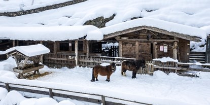 Familienhotel - Hunde: erlaubt - Tirol - Streichelzoo direkt beim Hotel - Alpin Family Resort Seetal