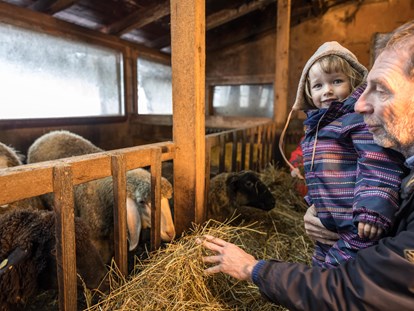 Familienhotel - Kinderbetreuung in Altersgruppen - St. Johann in Tirol - Lernen Sie unsere Tiere am Bauernhof kennen... - Alpin Family Resort Seetal