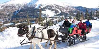 Familienhotel - Umgebungsschwerpunkt: Berg - Kärnten - Pferdekutschenfahrt - Familienhotel Hinteregger