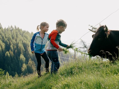 Familienhotel - Kinderbetreuung in Altersgruppen - Untertauern (Untertauern) - Den Tieren ganz nah! - Kinderhotel Waldhof