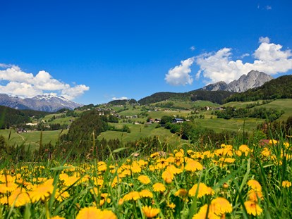 Familienhotel - Umgebungsschwerpunkt: am Land - St. Leonhard (Trentino-Südtirol) - Frühling in Hafling - Wohlfühlhotel Falzeben