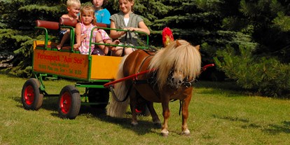 Familienhotel - Streichelzoo - Deutschland - Ponykutschfahrten für die Kinder - Ferienpark Heidenholz