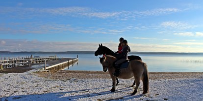 Familienhotel - Ausritte mit Pferden - Güstrow - Winterliche Ausritte - Ferienpark Heidenholz