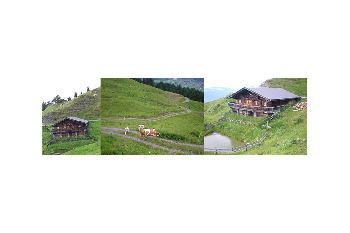 Kinderhotel: Hauseigene Alm, 1x wöchentlich geführte Wanderung - Kaiserhotel Kitzbühler Alpen