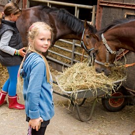 Kinderhotel: Das Wohlergehen der Pferde steht an erster Stelle - Frieslandstern - Ferienhof und Hotel