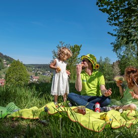 Kinderhotel: Picknick - lecker  - Familotel Mein Krug