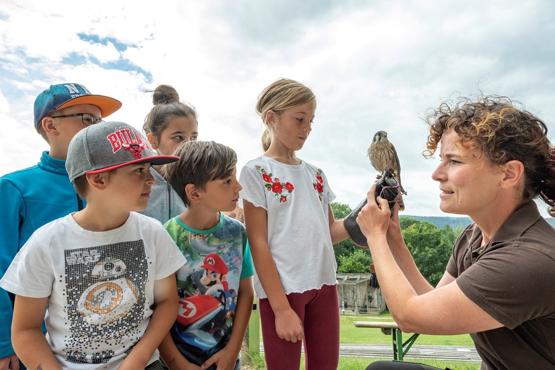 Kinderhotel: Greifvogelpark Katharinenberg - Erfahrung sammeln - Familotel Mein Krug