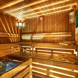 Kinderhotel: Sauna - Familotel Engel