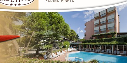 Familienhotel - Pools: Außenpool beheizt - Torre Pedrera di Rimini - Pool und Palmen beim Hotel - Hotel Meeting