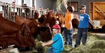 Familienhotel - Spielplatz - Österreich - Tägliches Tiere füttern - Kinderhotel Felben