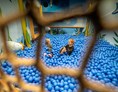 Kinderhotel: Unterwasserwelt - eintauchen in das blaue Bällemeer  - Habachklause Familien Bauernhof Resort