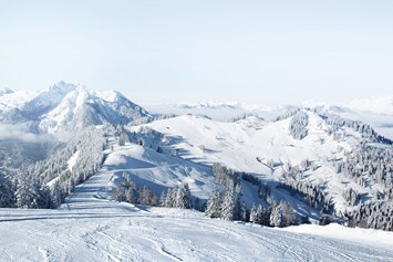 Kinderhotel: Skigebiet - Alpines Lifestyle Hotel Tannenhof