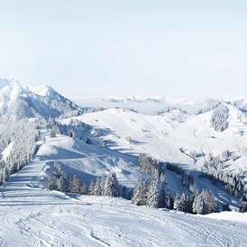 Kinderhotel: Skigebiet - Alpines Lifestyle Hotel Tannenhof