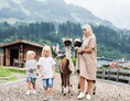 Kinderhotel: Außenanlage mit Alpakas - Mia Alpina Zillertal Family Retreat