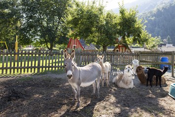 Kinderhotel: Dorf der Tiere - Familiengut Hotel Burgstaller