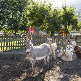 Kinderhotel: Dorf der Tiere - Familiengut Hotel Burgstaller