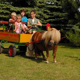 Kinderhotel: Ponykutschfahrten für die Kinder - Ferienpark Heidenholz