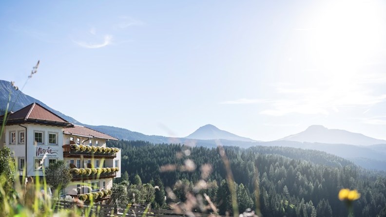Angebote vom Familienparadies Hotel Maria/Trentino-Südtirol - Kinderhotel.Info