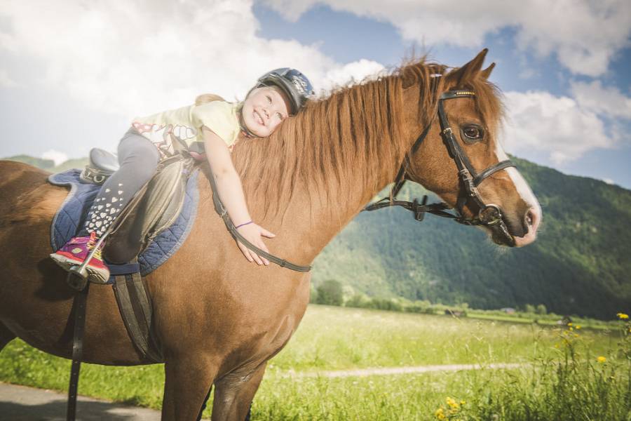 Rund um die Rösser am Landgut Furtherwirt: Reiten und Gespannfahren für Groß und Klein - Kinderhotel.Info