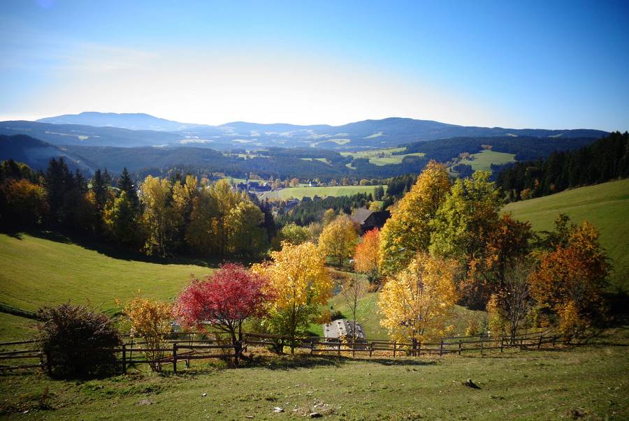 Familienhotel Berger: Die herbstliche Farbenpracht der Steiermark erleben - Kinderhotel.Info