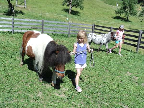 Unsere Top 10 der Streichelzoo-Tiere - Kinderhotel.Info