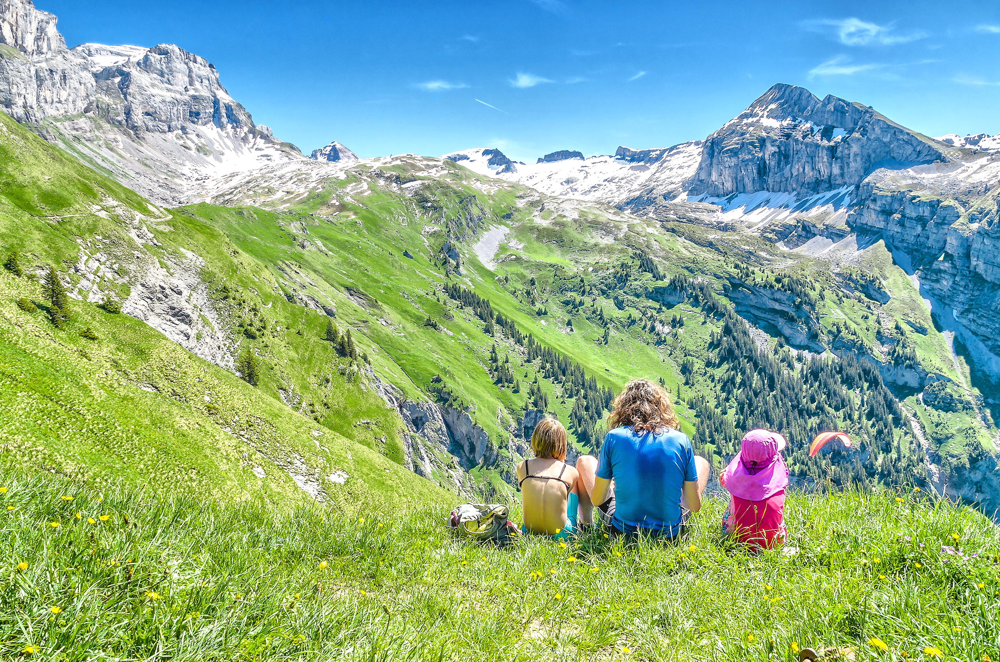 Sommerferien 2019: In diesen Familienhotels steppt der Bär! - Kinderhotel.Info