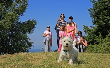 Familienurlaub mit Hund: Ein Muss! - Kinderhotel.Info