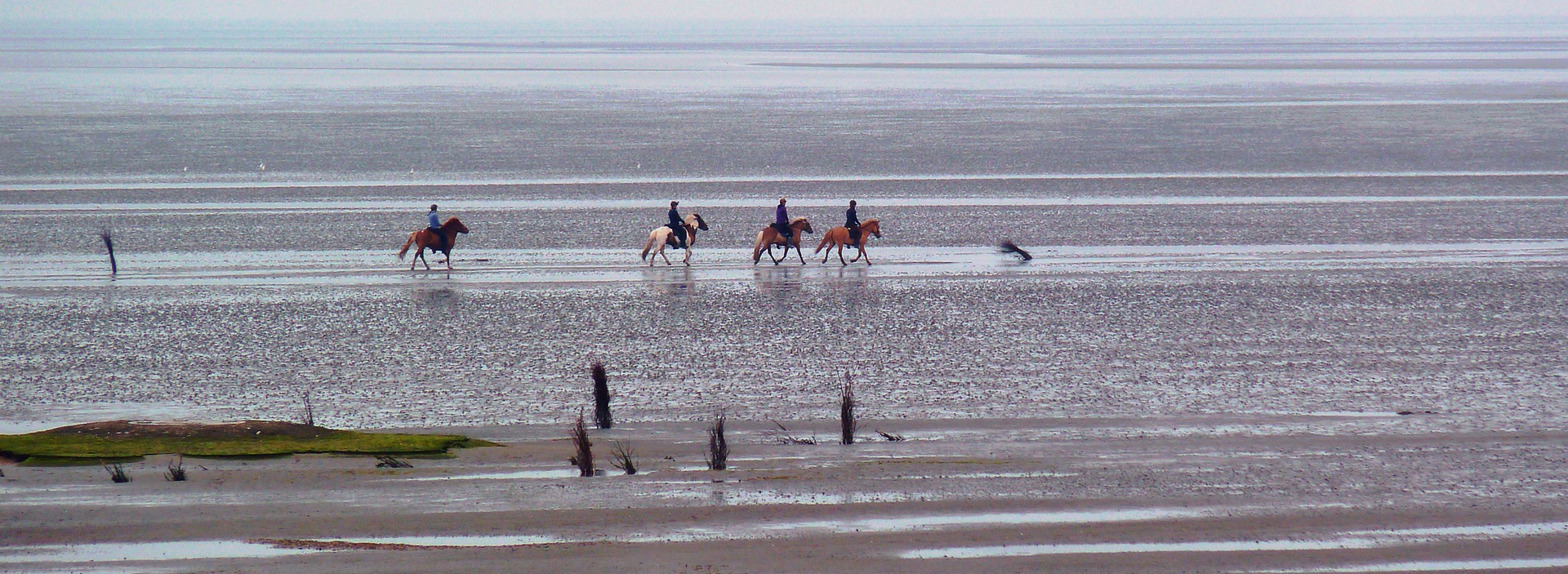 Nordsee - Urlaub mit Kind & Kegel - Kinderhotel.Info