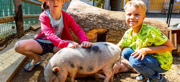 Bauernhof und Streichelzoo: Die Hotels mit den meisten Tieren - Kinderhotel.Info