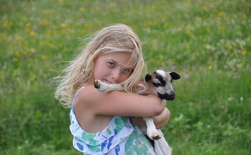 Auswertung: Das sind die Wünsche der Kinder für den Sommerurlaub - Kinderhotel.Info